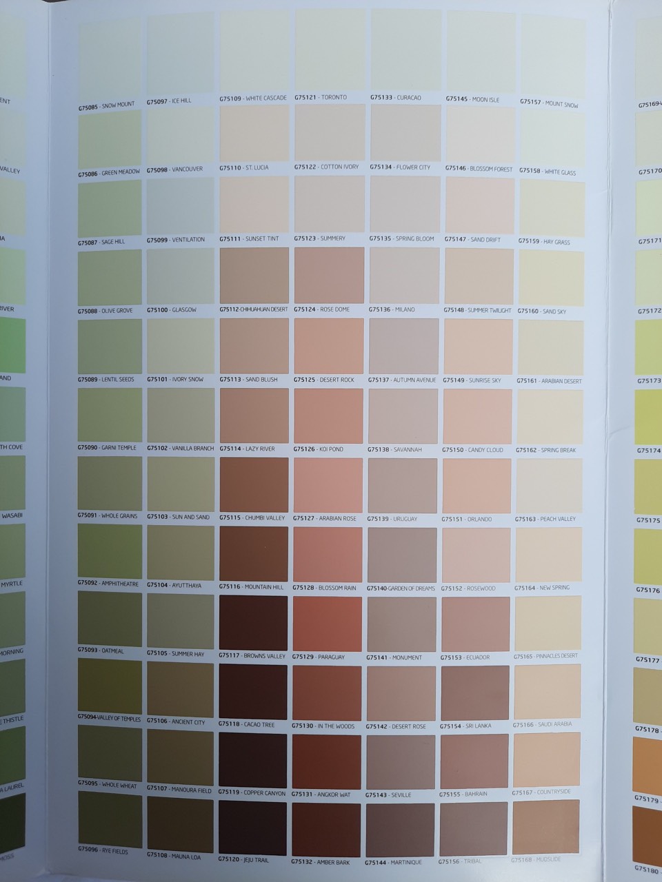 z4859932574512_da906275a31102c8e1a4f0fd43c651f8